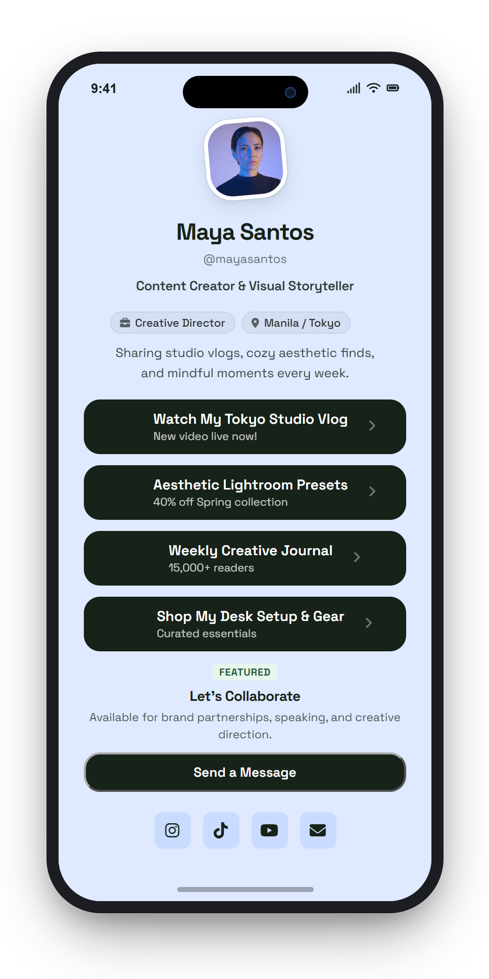Modern Template - Maya Santos